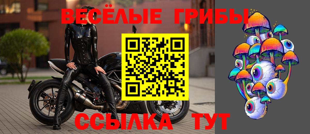 Галлюциногенные грибы MAGIC MUSHROOMS  Вход с VPN  Еманжелинск  Галлюциногенные грибы Psilocybe 